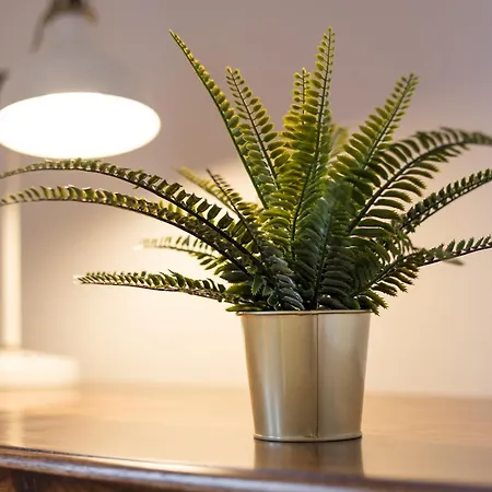 Appartement Home2book Serene Stylish In Pool *