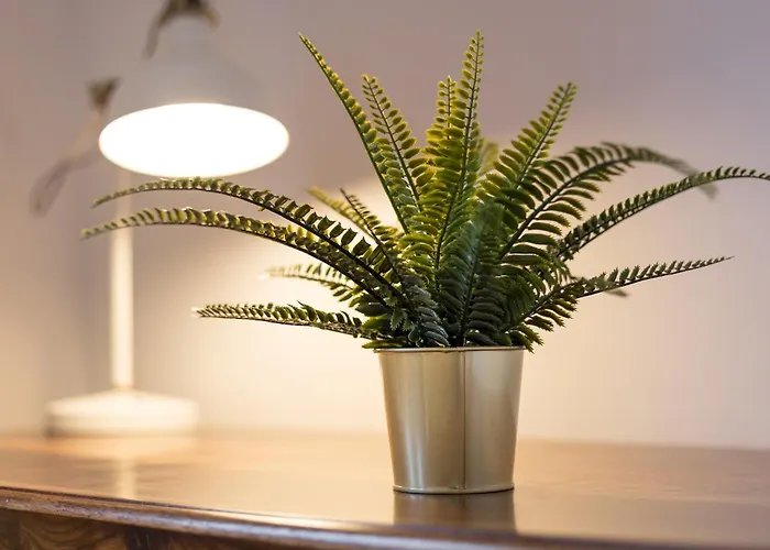 Appartement Home2book Serene Stylish In Pool *