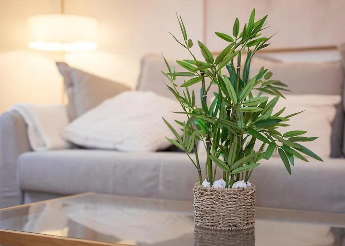 Appartement Home2book Serene Stylish In Pool *