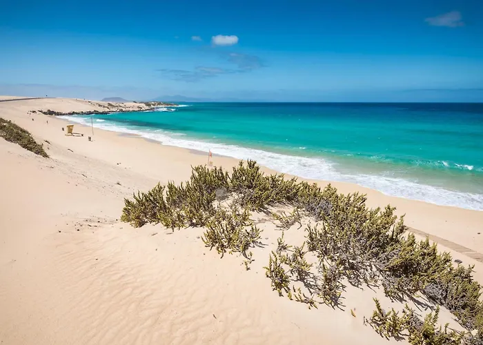 Home2book Serene Stylish In Pool